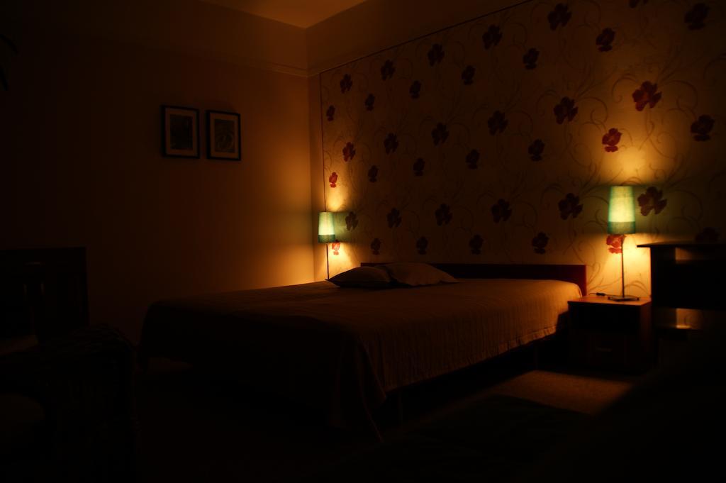 Ubytovani Pod Jezem Loket Kamer foto