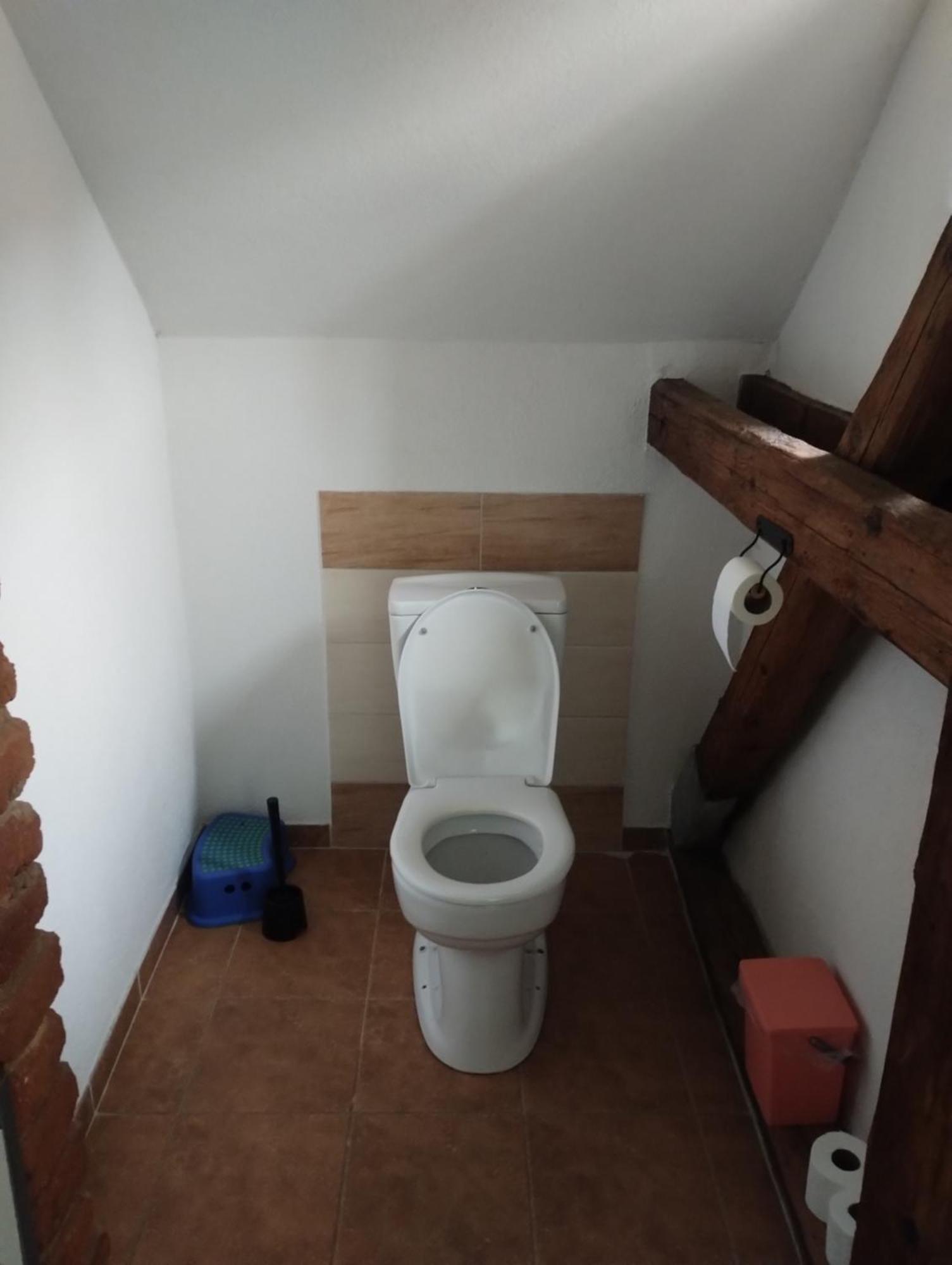 Ubytovani Pod Jezem Loket Buitenkant foto